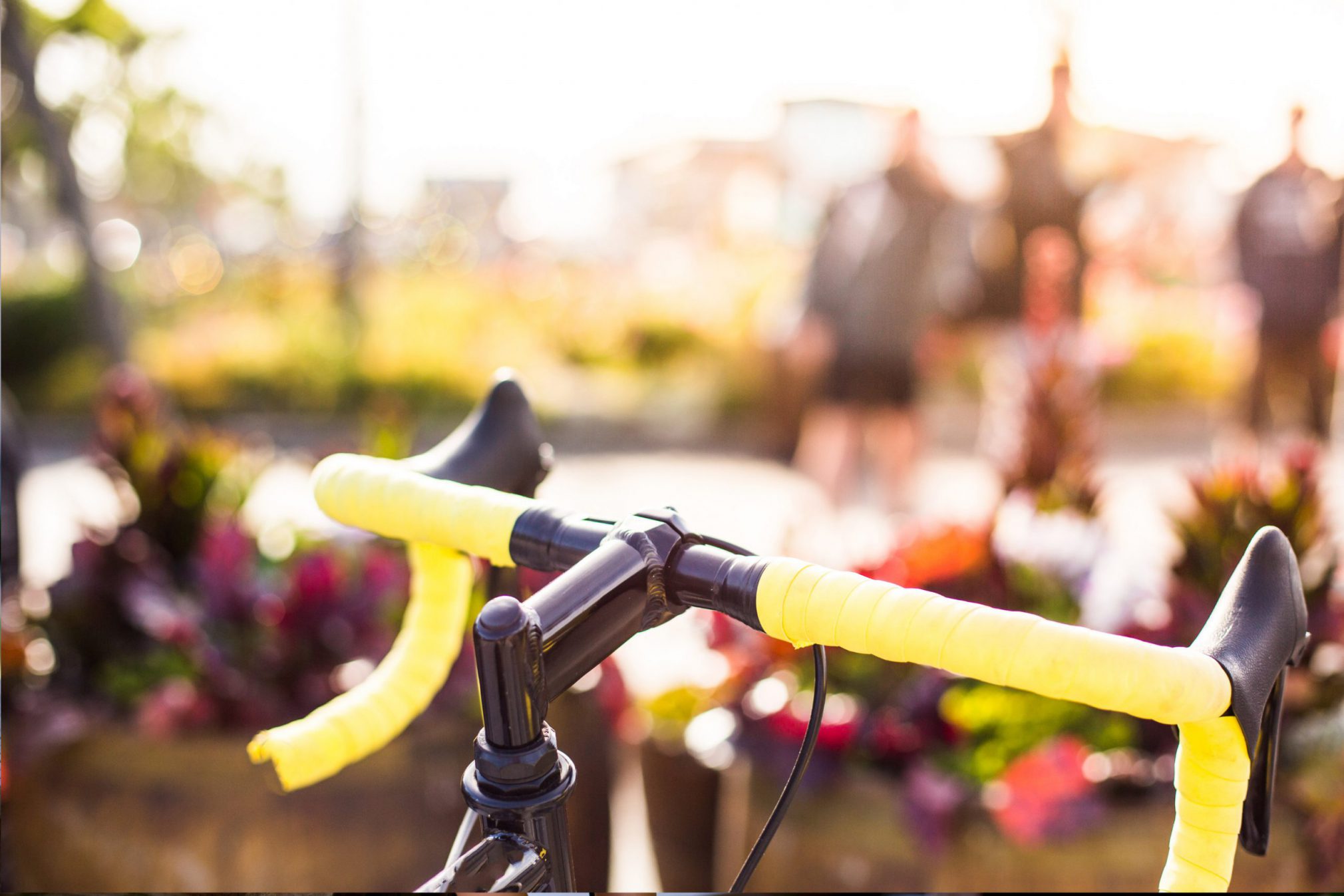 Erfischend anders: Bürgerliste Dingolfing setzt auf modernen Wahlkampf